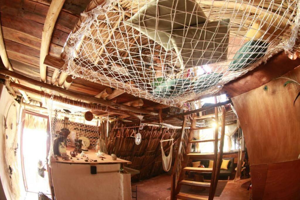 Jungla Bacalarアパートメント エクステリア 写真