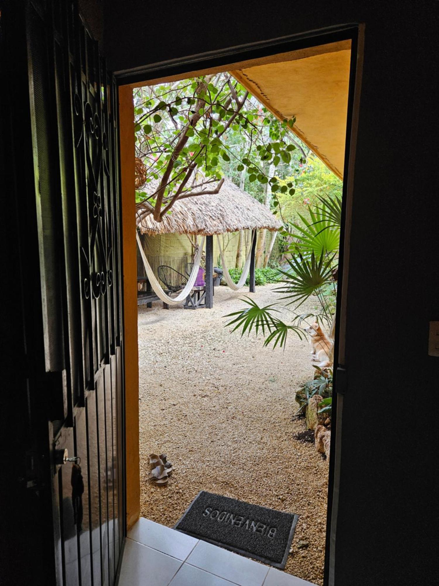 Jungla Bacalarアパートメント エクステリア 写真