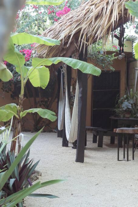 Jungla Bacalarアパートメント エクステリア 写真