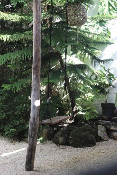Jungla Bacalarアパートメント エクステリア 写真