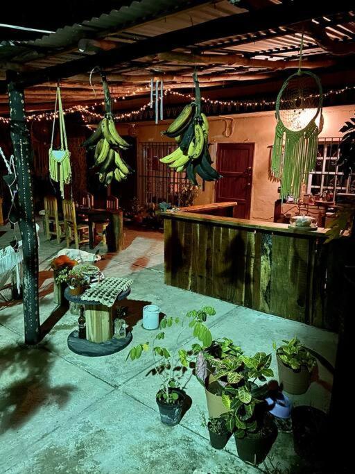 Jungla Bacalarアパートメント エクステリア 写真