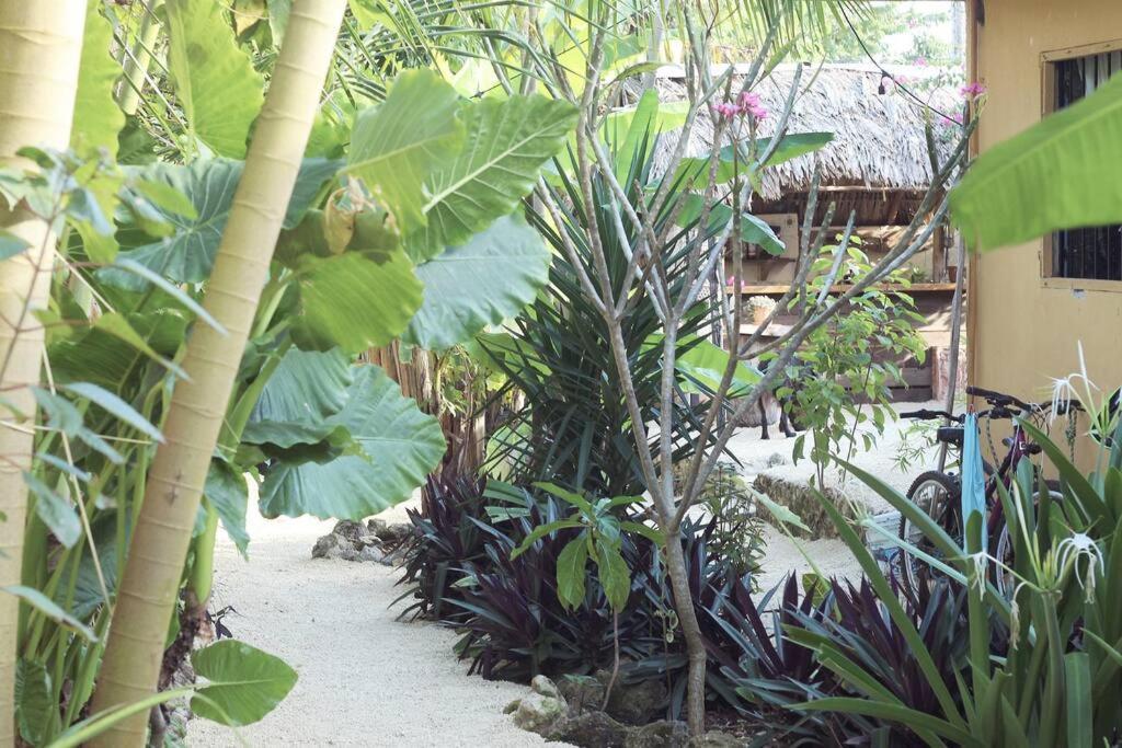 Jungla Bacalarアパートメント エクステリア 写真